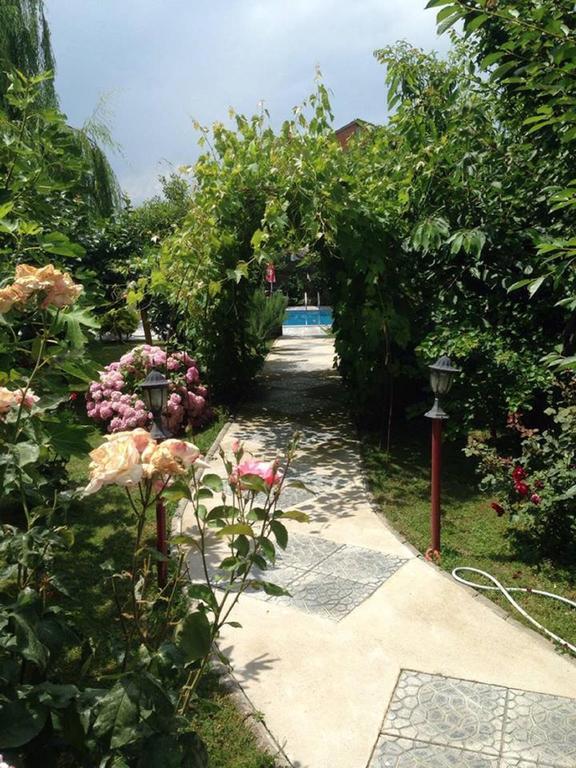 Villa Amsterdam Ohrid Kültér fotó