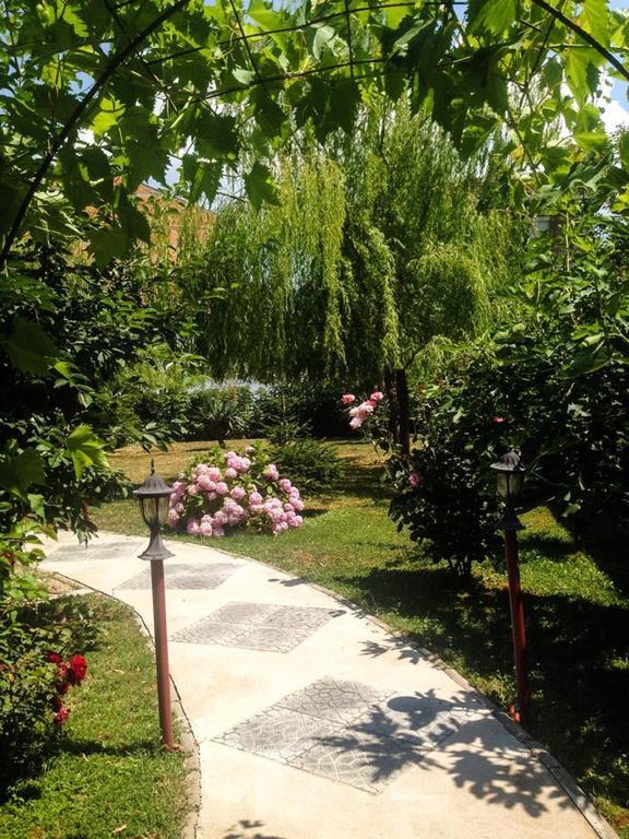 Villa Amsterdam Ohrid Kültér fotó